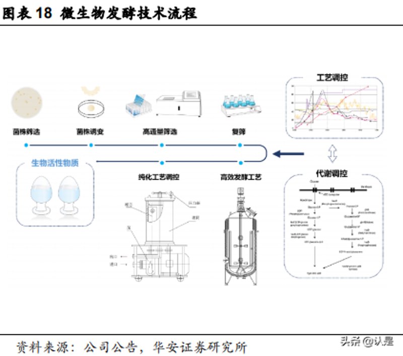 上海黄春怡：微生物技术专家的科研之路