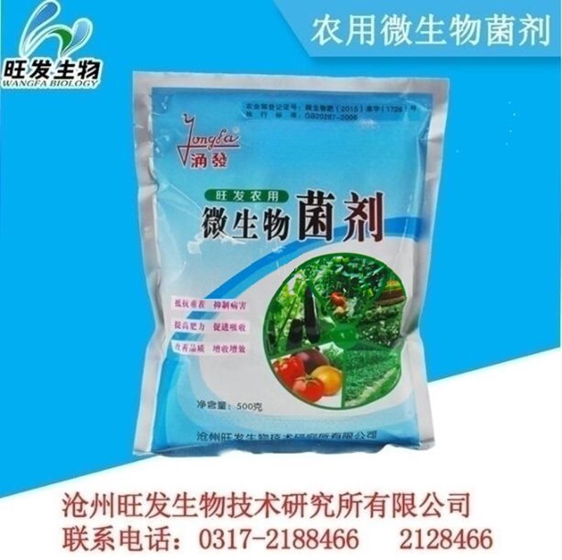 生物中考真题试卷如何高效复习?