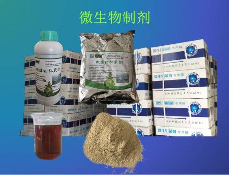 生物中考真题试卷,如何高效备考?