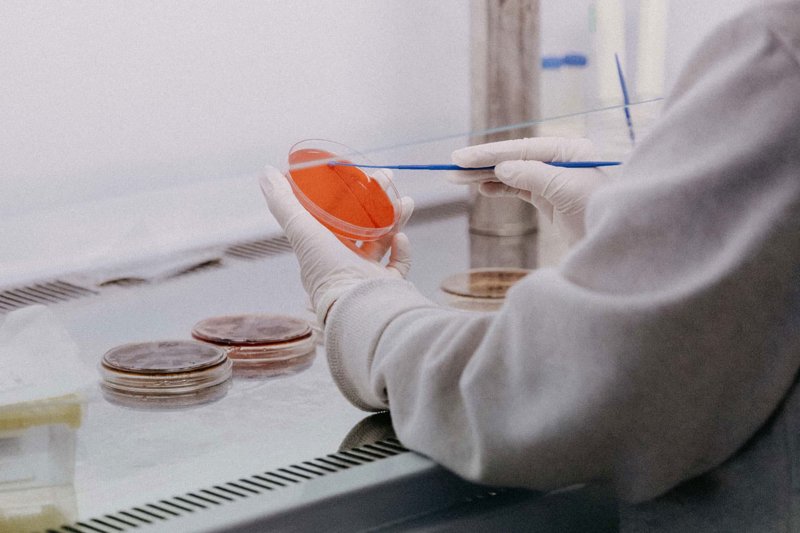 生物中考真题试卷:解密考试要点与难点