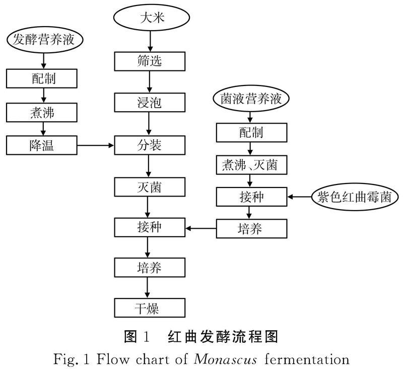 发酵工艺优化